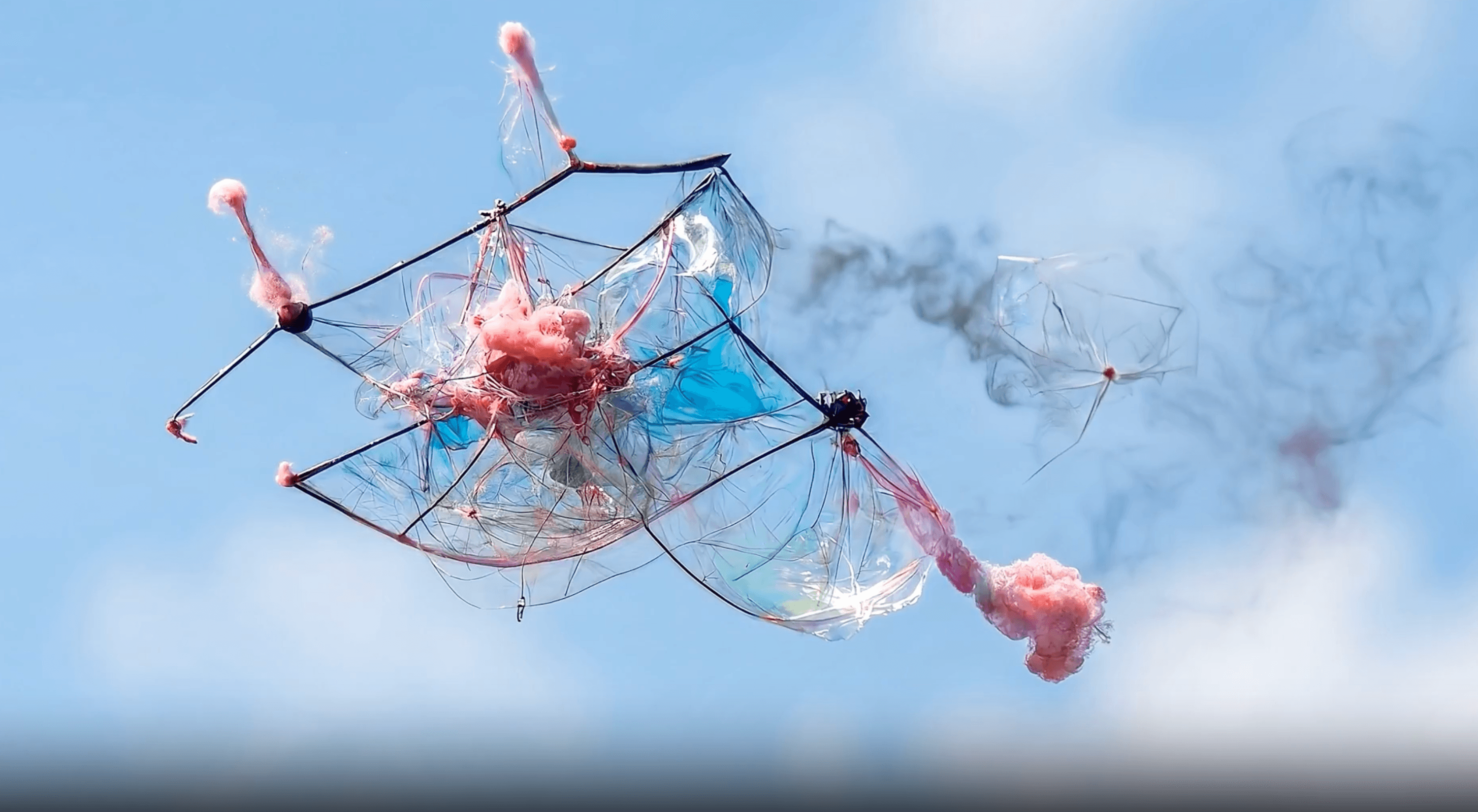 The Art and Science of Creative AI